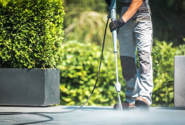 Best Boat and Dock Cleaning  in Muniz, TX