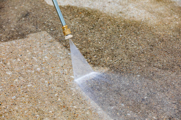 Best Restaurant Pressure Washing  in Muniz, TX