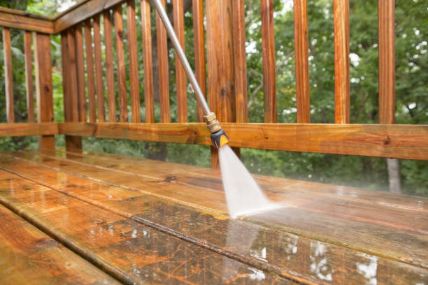 Best Fence Cleaning  in Muniz, TX